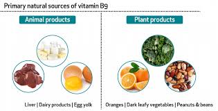 Vitamins are a group of substances that are needed for normal cell function, growth, and there are 13 essential vitamins. Learn About Your Vitamins And Minerals Vitamin B9 And Phosphorus Bioanalyt