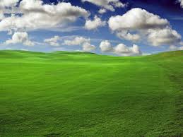 Bliss is the default computer wallpaper of microsoft's windows xp operating system. Windows Grass Wallpapers Group 66