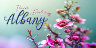 The flower basket is a flower shop in albany delivering fresh flowers to the great citizens around the area. The 8 Best Options For Flower Delivery In Albany Ny 2021