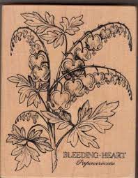 Psx K 019 Bleeding Heart Sflowers Rubber Stamp Never Inked Spring Botanical Bleeding Heart Bleeding Heart Tattoo Heart Flower Tattoo