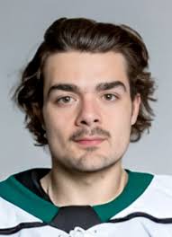 Brandon Cutler Hockey Stats and Profile at hockeydb.com