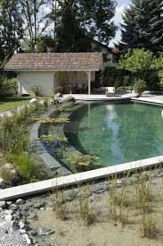 Der Selbstbau Vom Schwimmteich Mit Naturlichem Selbstreinigungsprozess Kleiner Pool Design Schwimmteich Schwimmbad Designs