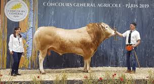 Samedi dernier, pendant que le président macron battait un nouveau record concernant la durée de sa. Salon De L Agriculture 2019 Cia Crespelle