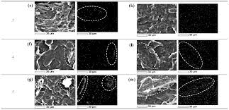 Maybe you would like to learn more about one of these? Polymers Free Full Text Well Dispersed Cellulose Nanofiber In Low Density Polyethylene Nanocomposite By Liquid Assisted Extrusion Html
