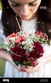 Babies breath hi-res stock photography and images