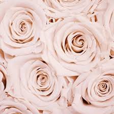 Iphone rose gold background download wallpapers on jakpost. Lock Screen Rose Gold Iphone 6 Flower Wallpaper Novocom Top