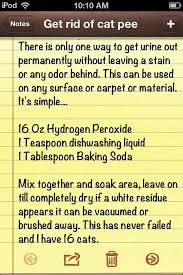 Pin By Janita Monroe Peters On Cleaning Tips Pinterest Cleaning Hacks Cat Urine Smells Household Cleaning Tips