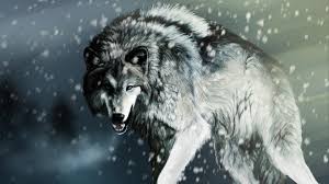 Looking for the best wallpapers? White Wolf Wallpaper Walldevil Best Free Hd Desktop And Mobile