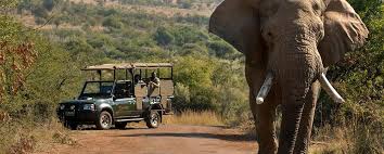 Pilanesberg Lodges Legacy Hotels