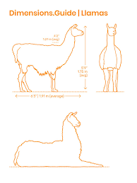 Pin On Animals