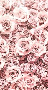 94,000+ vectors, stock photos & psd files. Aesthetic Cartoon Wallpaper Iphone Asthetische Karikatur Tapete Iphone Gift Ideas Unique Rose Gold Aesthetic Gold Wallpaper Iphone Rose Flower Wallpaper
