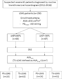 figure 1 from value of low dose dobutamine stress