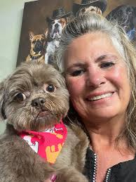 protect pets from hot pavement