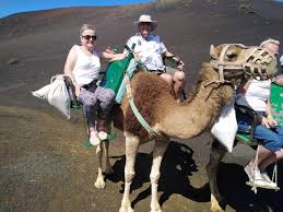 Boxes are available in rental periods of six or 12 months. Camel Ride Arrecife 2021 All You Need To Know Before You Go With Photos Tripadvisor