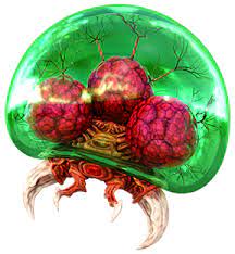 The first metroid was developed by nintendo r&d1 and released on the nintendo entertainment system in 1986, making samus one of the earliest female. Metroid Fictional Species Wikipedia
