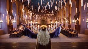 To be fair the movies do a good job at depicting the harry potter stories. Harry Potter Hogwarts Mystery The Ageless Adam Sandler Hubie Halloween