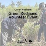 Volunteer Event at Perrigo Park