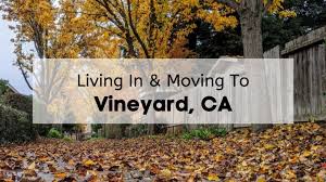 Maybe you would like to learn more about one of these? What S Living In Vineyard Ca Like 2021 Ultimate Moving To Vineyard Ranch North Guide