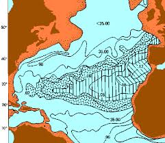 Les lignes isochrones sont espacées d'une heure. Oceanographie
