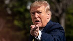 And eric— work as executive vice presidents for the trump organization. Donald Trump To Return To Social Media With His Own Platform Reports Say Wpde