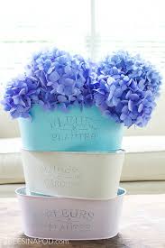 Log in page is closed. 20 Genius Dollar Store Planter Ideas Craftsy Hacks