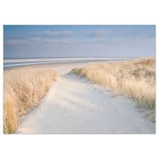 Katebo Bild Dunen Auf Langeoog Polystyrol Ikea Deutschland Bilder Landschaftsbau Bilderrahmen Gunstig