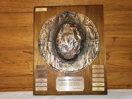 Image result for Brown 2009 Fleet