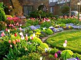 Dahlia Landscape Google Search Spring Landscaping Beautiful Flowers Garden Small Flower Gardens