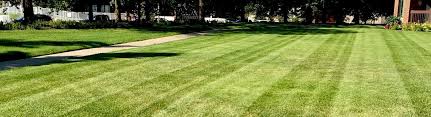 Advanced lawn care and landscaping. Advanced Lawn Care Saskatoon Sk Alignable