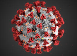 Pathogens Suppress Immune Response With Molecule A Possible Drug Target Stanford Researchers Find News Center Stanford Medicine