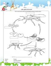 The worksheets are randomly generated each time you click on the links below. Grade 2 Science Worksheets Pdf