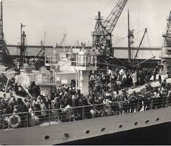 L Histoire Oubliee Des Pieds Noirs D Algerie Une Exposition Pour Ranimer Les Heures Douloureuses D Un Passe Le Blog De Christine Guillaume Alger Guerre D Algerie Histoire