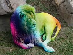 Rainbowism Is A Recessive Genetic Trait Similar To Albinism That Causes Animals To Look Like The Photoshop Color Selection Square Black Lion White Lion Lion