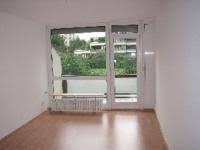 Wohnung zum kaufen in offenbach am main &8211; Hubsche 2 Zimmerwohnung In Bieber