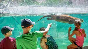 Welcome To The Zoo The Houston Zoo