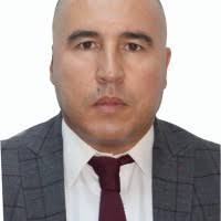 300+ "Remili" profiles