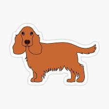 Springer spaniel puppies cocker spaniel puppies english springer spaniel animal paintings animal drawings pencil drawings poppy drawing dog artwork pencil drawing on a4 bristol board. English Cocker Spaniel Stickers Redbubble