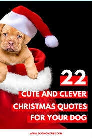 22 Cute Clever Christmas Quotes For Your Dog Dog Mom Tribe Puppy Quotes Cute Dog Quotes Dog Christmas Pictures