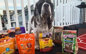 Mom is always trying to find me healthy food and dog treats to eat. 10 Peanut Butter Dog Treats Pups Need To Try Great Pet Care