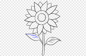 Gambar bunga matahari hitam putih pesona dunia. Menggambar Sketsa Seni Bunga Matahari Umum Daun Bunga Matahari Putih Pensil Daun Png Pngwing