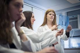 Strategy Performance Report