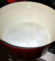 Clean Cast Iron Jpg 440 492 Pixels Cast Iron Cleaning Cast Iron Dutch Oven Enameled Cast Iron