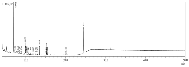 Image result for Premna velutina