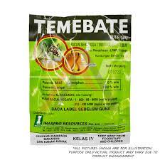 This rare, small seasonal fruit is found mostly in the rural areas of kedah and perlis. Temebate Mosquito Larvicide 100g Ubat Jentik Jentik Nyamuk Denggi Dengue Shopee Malaysia