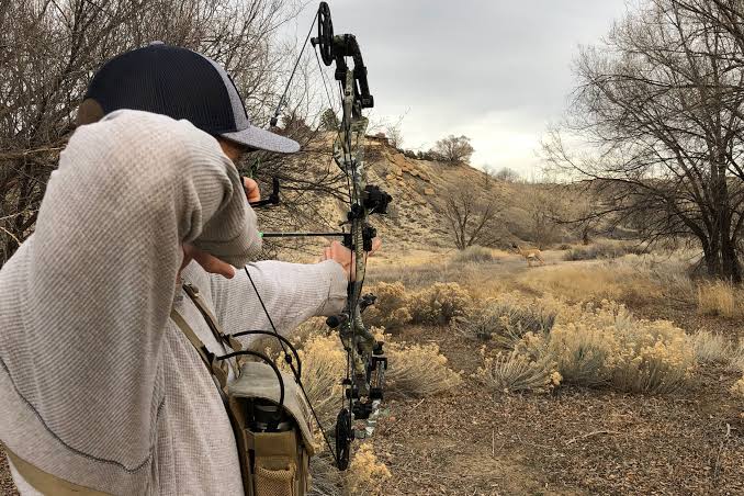 Image result for Hoyt Compound Bows - Where to Find Bows"