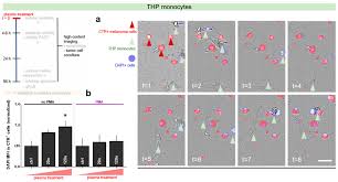 Applied Sciences Free Full Text Plasma Derived Reactive