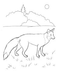 Malvorlage wird heruntergeladen und in dem ausgewählten von ihnen verzeichnis abgespeichert. Ausmalbilder Fuchs Kostenlos Drucken Fur Madchen Und Jungen