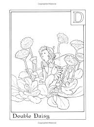 Amazon Com Flower Fairies Alphabet Coloring Book 9780723264965 Cicely Mary Barker Books Fairy Coloring Book Fairy Coloring Pages Fairy Coloring