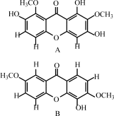 Image result for Securidaca welwitschii