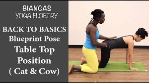 This pose makes me feel steady and stable, explains yoga teacher and interfaith minister rev. Yoga Pose Finding Table Top Position For A Strong Spine Cat Cow Youtube